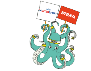 Brooks Digital Hero_v2