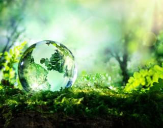 shutterstock_274566236.0